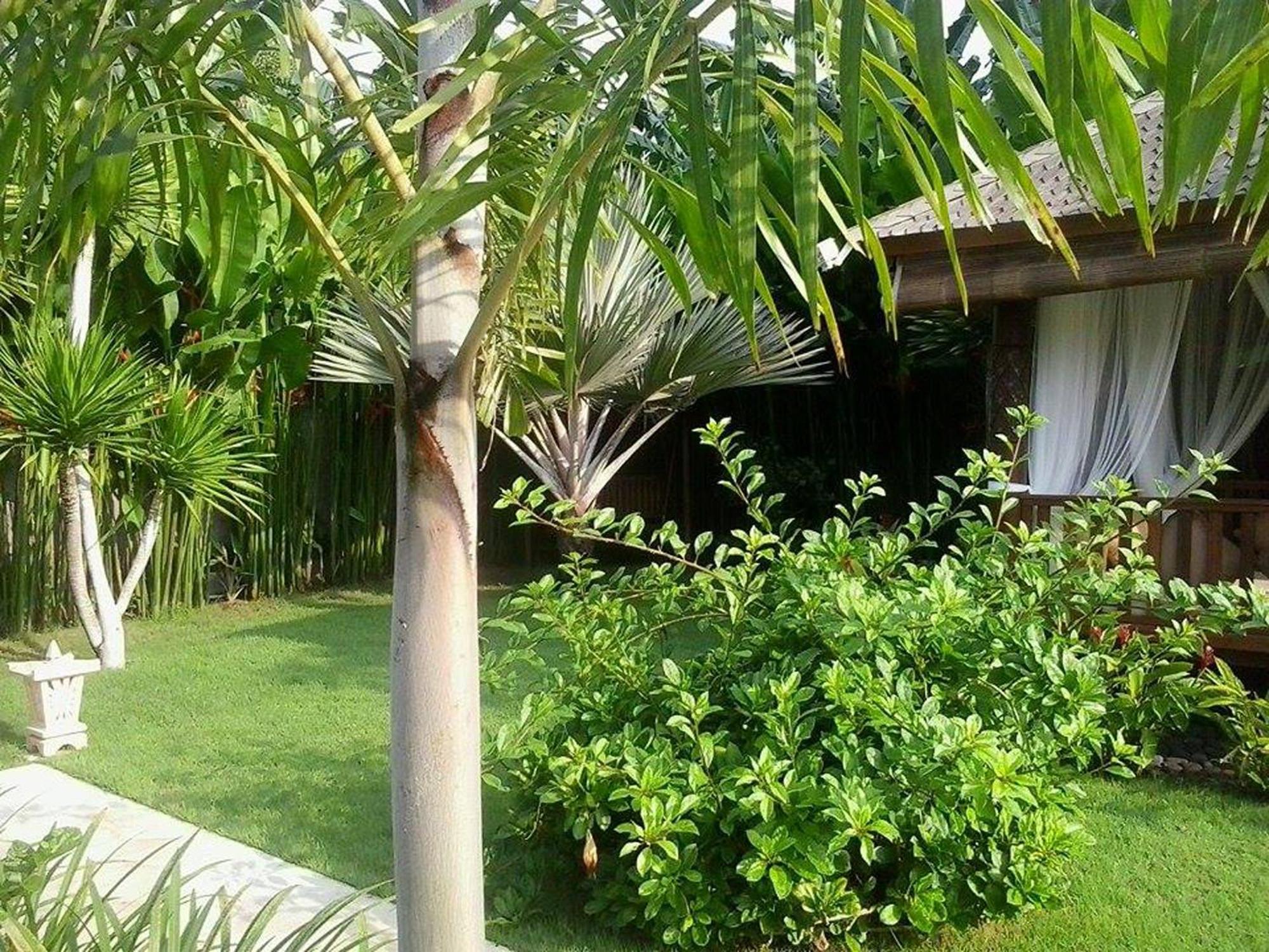 Villa Gusmania Candidasa Habitación foto